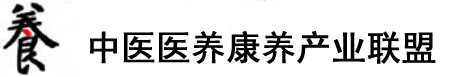 我日B